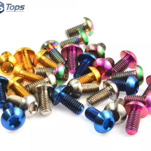 Titanium Alloy Half Round Torx Head Screws